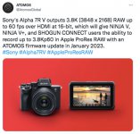 sony_a7rv_raw.JPG